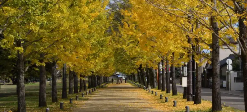各務原のホテル
