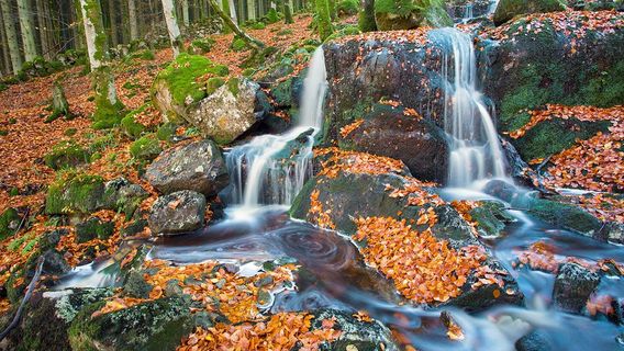 The Gallery at Laurieston