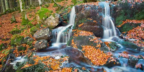 The Gallery at Laurieston