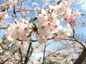 Hyogo Prefectural Harima Central Park