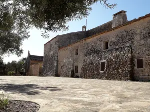 Finca Publica Son Real