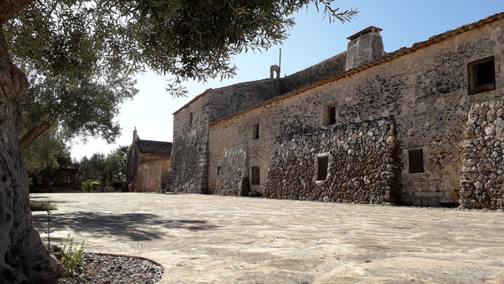 Finca Publica Son Real