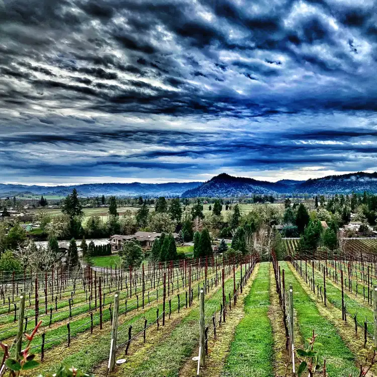 Hotels in Douglas County