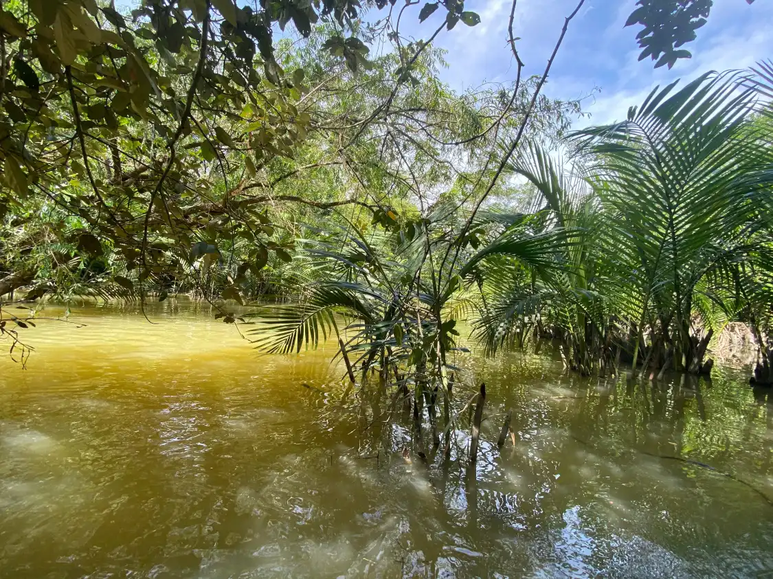 Hotels near The Little Amazon Takuapa - คลองสังเน่ห์