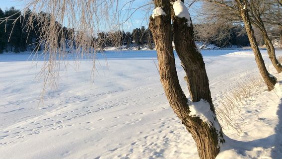 Gumbostrand Konst & Form