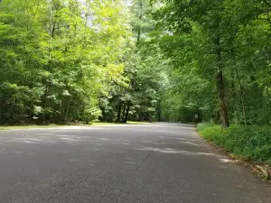 Buhl Park