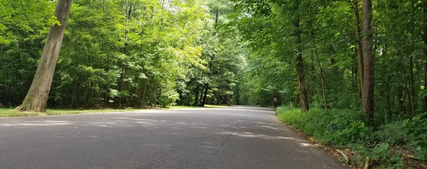 Buhl Park
