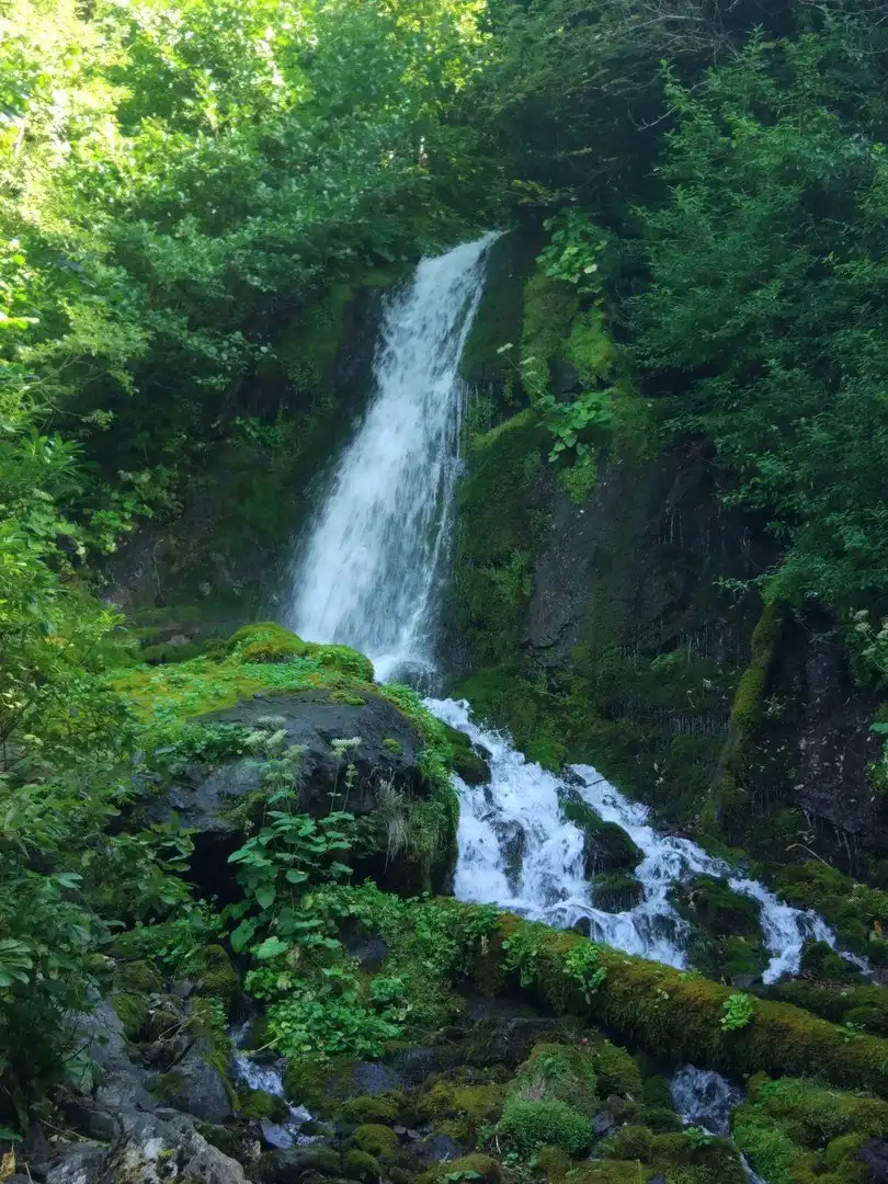 Hotels near Waterfall Ptichiy Klyuv