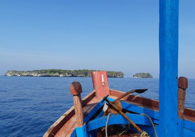 Bird Island