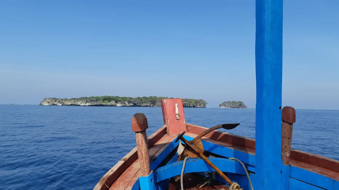 Hotels near Bird Island