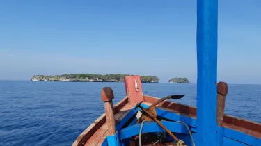 Bird Island