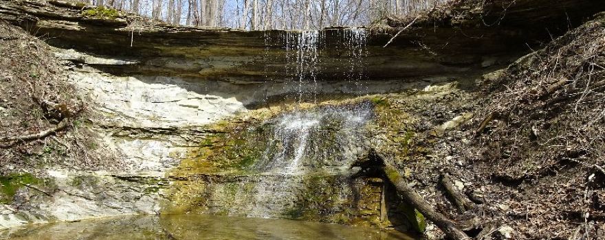 Salamonie River State Forest