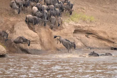 Peacemakers Expedition & Safari