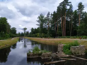 Zwierzynczyk