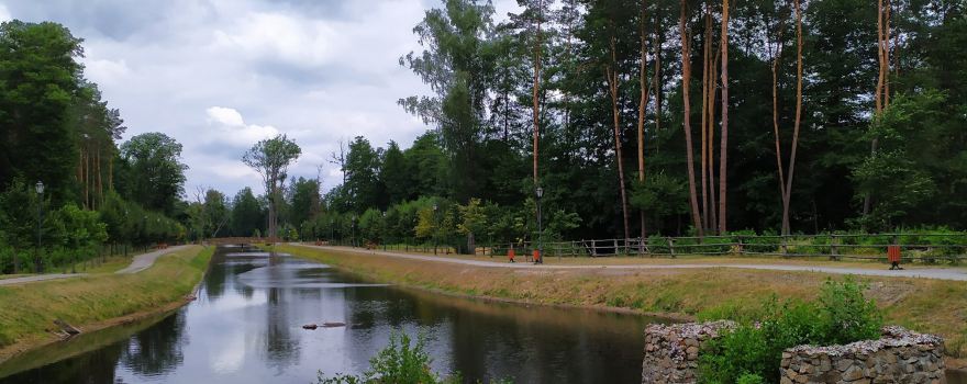 Zwierzynczyk