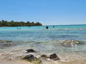 Haydar Cove