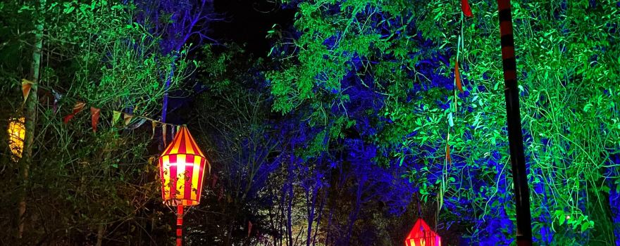 Woodford Folk Festival