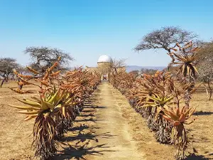 Ulundi Battle Field