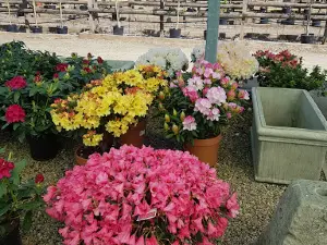 Parkhill @ White Lodge Garden Centre