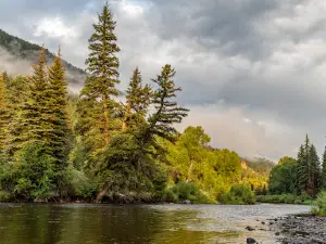 Ponderosa Campground