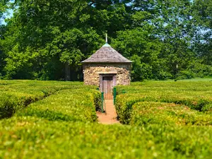 Harmonist Labyrinth
