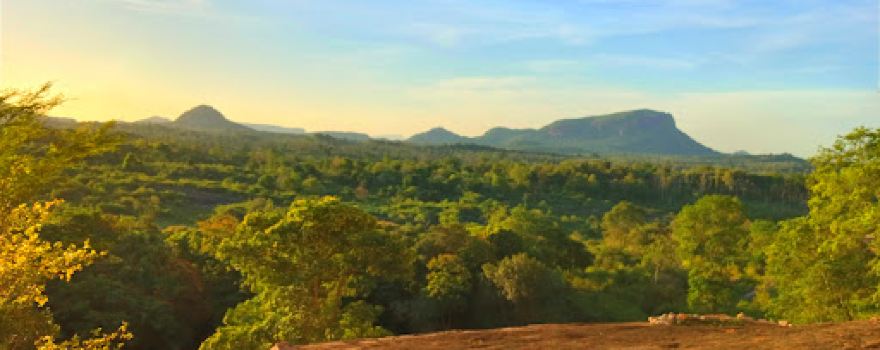 Siri Maha Bodhiya - Padiyadora (පදියදොර)