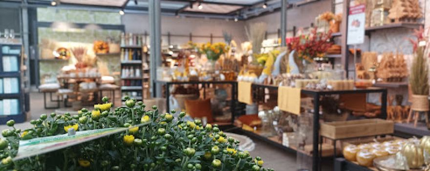 bellaflora Oberwart