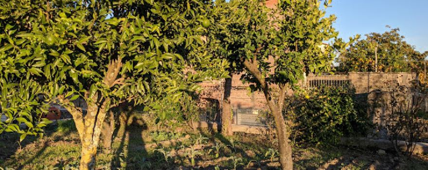 Azienda Agricola Biologica "Delli Colli"