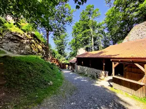 Choustník