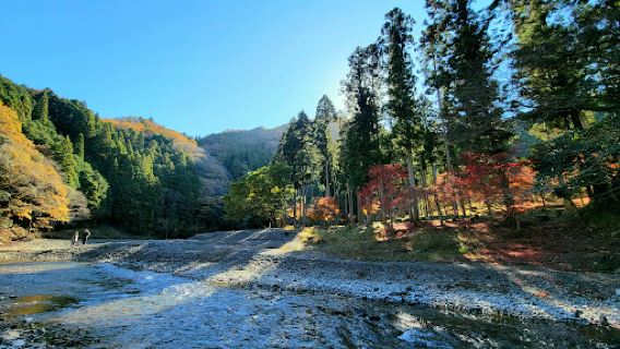 Tarakyo Forest Park