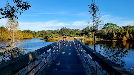 Alligator Kapok Park
