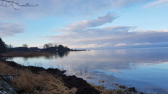 Pulli pank (Oiu pank)