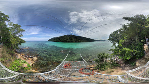 Coral Flyer - Flying Fox