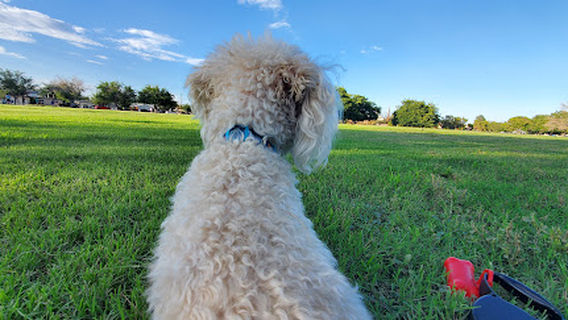 Eastwood Park