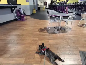 Planet Fitness