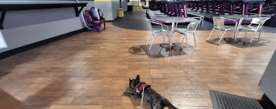 Planet Fitness