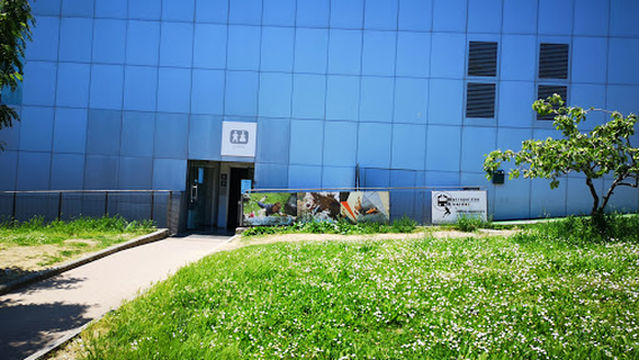 Climbing Free A.s.d. - Metropolitan Boulder