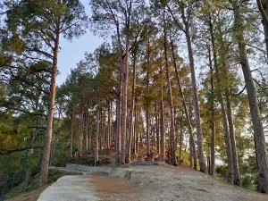 Shimla Pahari Park