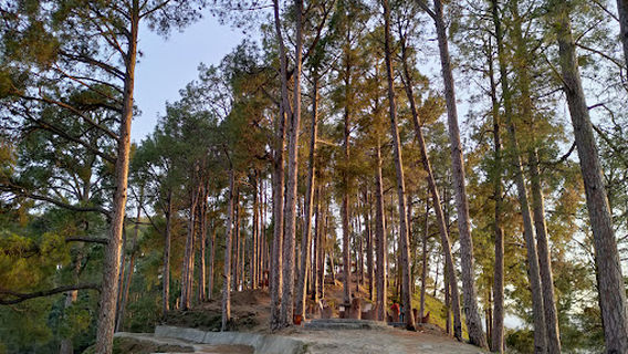Shimla Pahari Park