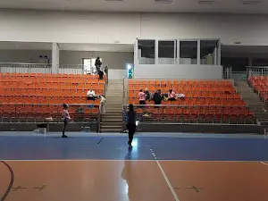 Hala Sportowo-Widowiskowa