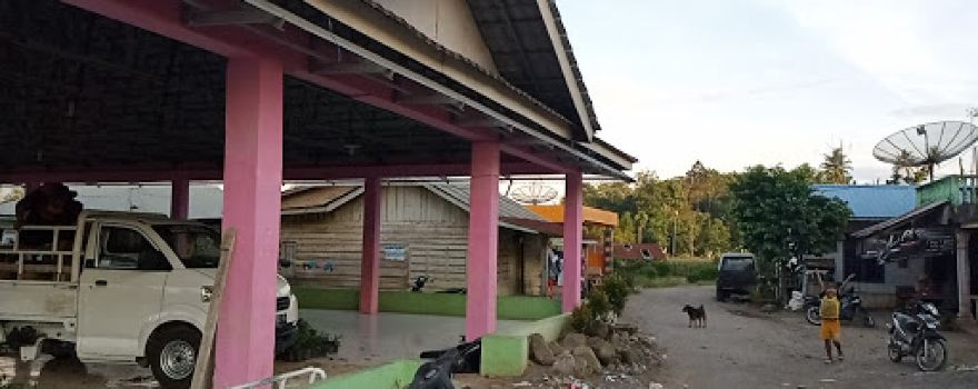 Jambur Desa Tanjung Pulo
