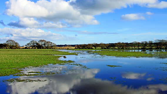 Brading Marsh