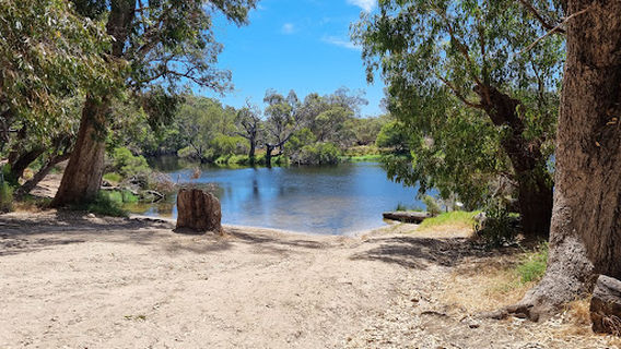 Moore river rope swing