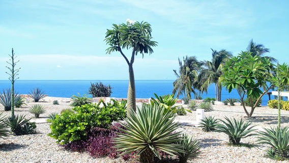 Puerto Escondido