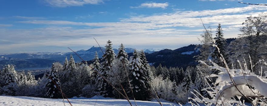 Chräigütsch
