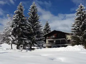 Ski Bisanne 1500