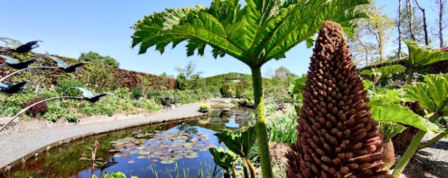Bezoektuin Tuinfleur