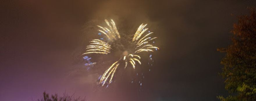 Burgoyne Park