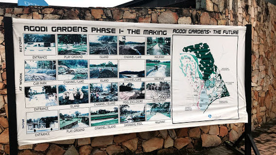 Dache foods
