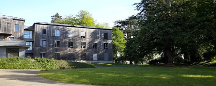 Foret de Ville Cartier